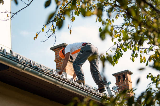 Best Roof Gutter Cleaning  in Roundup, MT